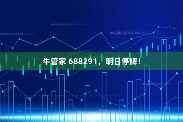 牛管家 688291，明日停牌！