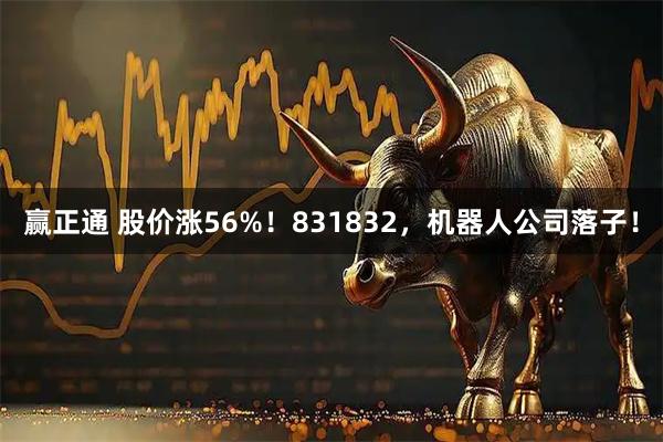 赢正通 股价涨56%！831832，机器人公司落子！